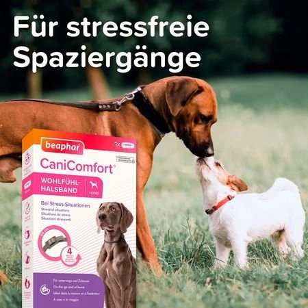 beaphar CaniComfort Pheromon Wohlfühl-Halsband 65cm, 1 Stück