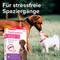 beaphar CaniComfort Pheromon Wohlfühl-Halsband 65cm, 1 Stück Vorschaubild