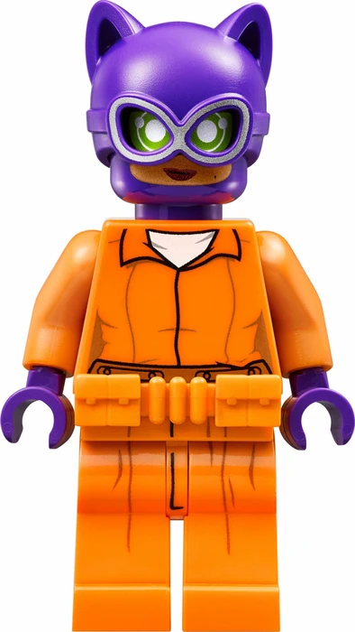 LEGO The Batman Movie - Arkham Asylum