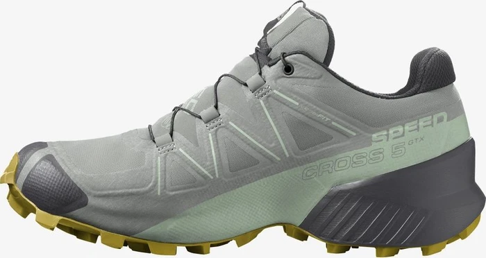 Salomon Speedcross 5 GTX wrought iron/spray/antique moss (Damen)