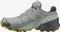 Salomon Speedcross 5 GTX wrought iron/spray/antique moss (Damen) Vorschaubild
