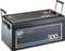 Ective LC 300L LT 12V Vorschaubild
