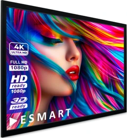 eSmart Economy EX Rahmen Leinwand 240x135cm 16:9