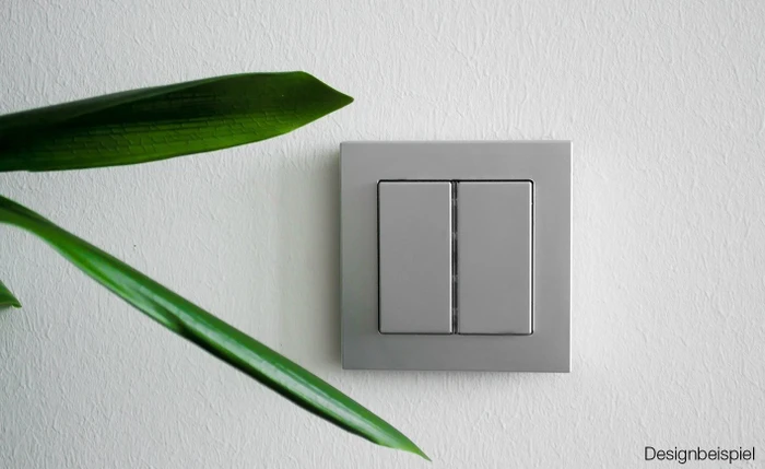 Dresden Elektronik Lighting Switch