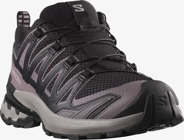 Salomon XA Pro 3D V9 black/gull/excalibur (Damen)