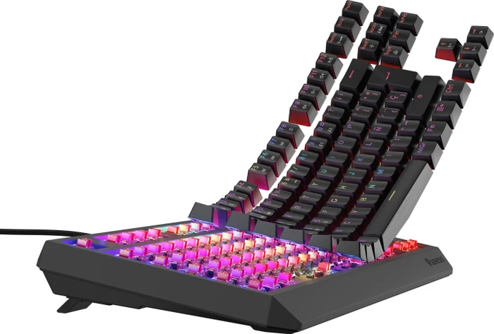 Genesis Thor 230 TKL, Anchor Gray Negative, LEDs RGB, hot-swap, Outemu Red, USB, CZ/SK