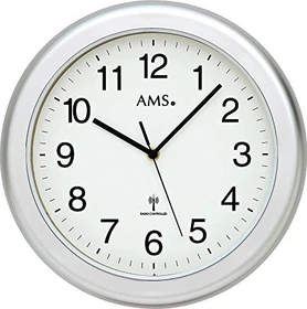AMS 5956