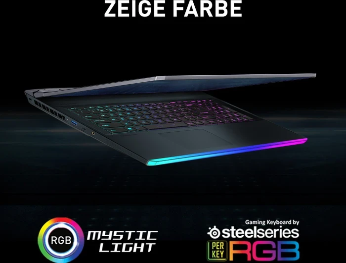 MSI GE76 Raider 11UH-082, Core i9-11980HK, 32GB RAM, 2TB SSD, GeForce RTX 3080, DE