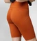 Fjällräven Abisko Tights Hose kurz terracotta brown (Damen) Vorschaubild