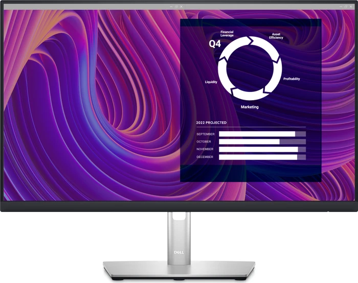 Dell P-Serie 2023