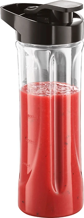 Russell Hobbs Mix & Go Smoothie Maker Standmixer
