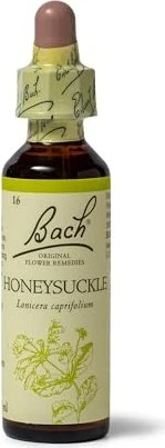 Bachblüte Honeysuckle, 20 ml Image