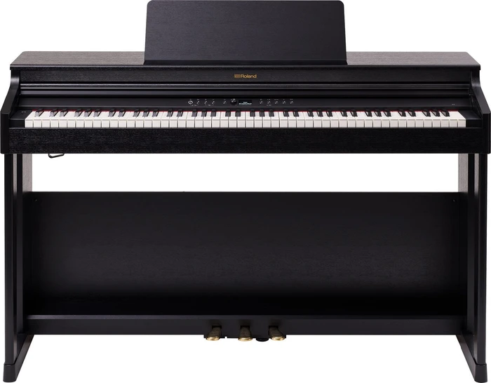 Roland RP701 schwarz matt