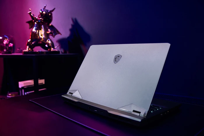MSI Raider GE76 12UGS-001, Core i7-12700H, 32GB RAM, 1TB SSD, GeForce RTX 3070 Ti, DE