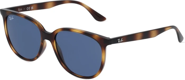 Ray-Ban RB4378