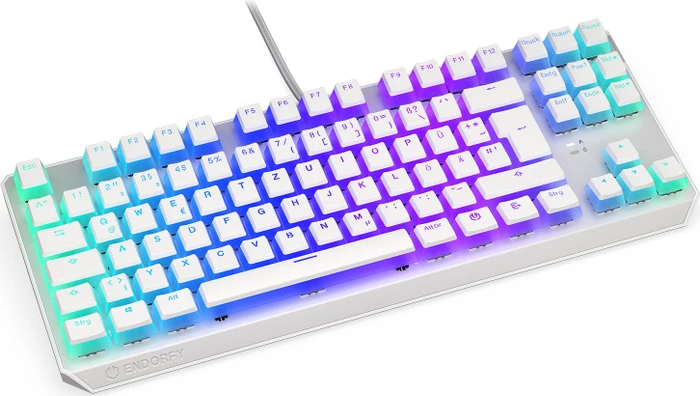 Endorfy Thock TKL Pudding, Onyx White, PBT, LEDs RGB, Kailh BROWN, USB, DE