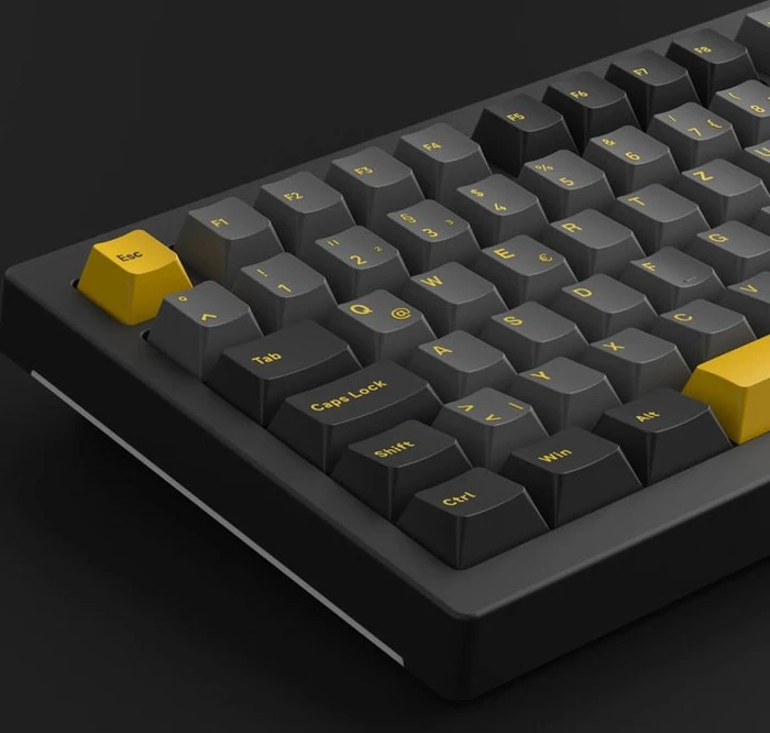 Akko 5075S, Black & Gold, LEDs RGB, hot-swap, V3 Pro Cream Yellow, USB, DE