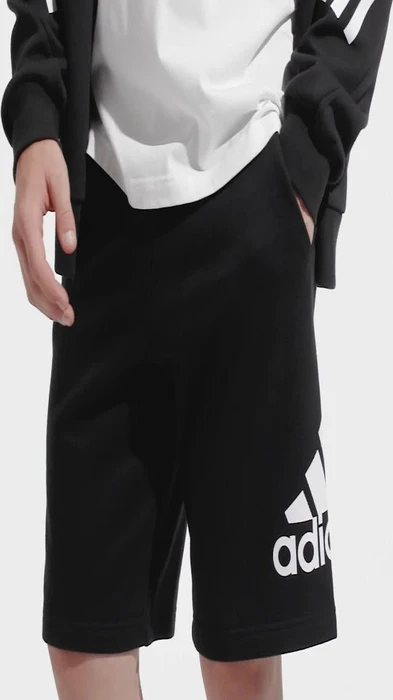 adidas Essentials Big Logo French Terry Shorts schwarz (Herren)