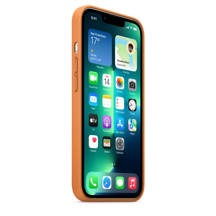 Apple Leder Case mit MagSafe für iPhone 13 Pro goldbraun