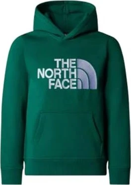 The North Face Drew Peak Hoodie evergreen (Junior)