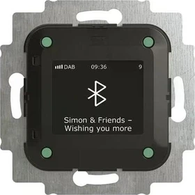 Busch-Jaeger Busch-Radio BTconnect DAB+