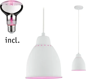 Paulmann Neordic Hilla Pendelleuchte + LED Pflanzenlampe E27 weiß