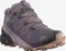 Salomon Speedcross 5 GTX mysterioso/quail/sirocco (Damen) Vorschaubild