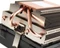 AMD FX-6350, 6C/6T, 3.90-4.20GHz, boxed mit AMD Wraith Vorschaubild