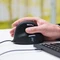 R-Go HE Mouse Vertikale Maus groß, USB Vorschaubild
