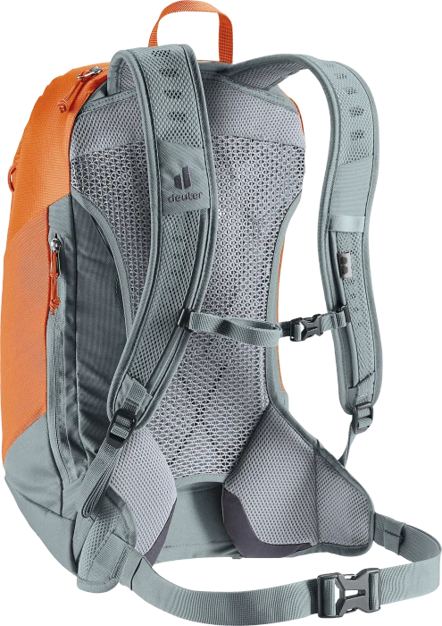 Deuter AC Lite 17 chestnut/teal