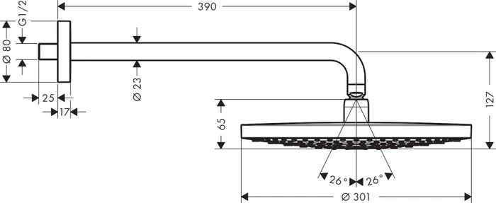 Hansgrohe Raindance Select S Kopfbrause 300 2jet mit Brausearm chrom