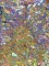 Ravensburger Puzzle Viele bunte Fische Vorschaubild