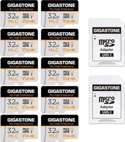 Gigastone 10x High Endurance R95/W60 32GB Kit, UHS-I U3, Class 10, 10er-Pack