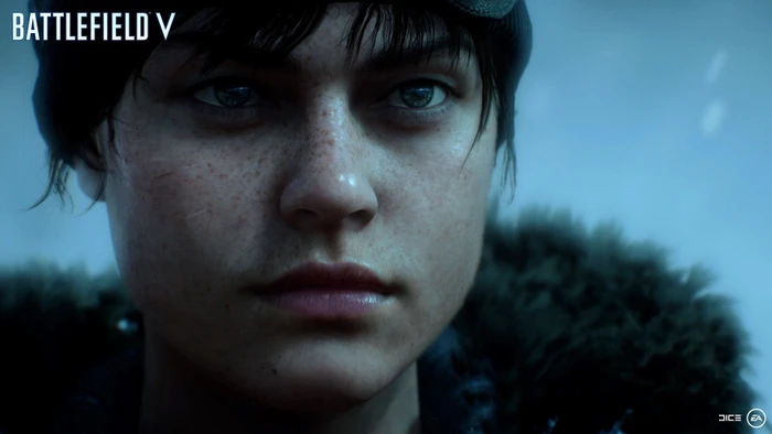 Battlefield V (PC)