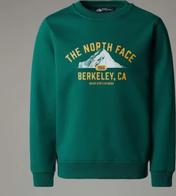 The North Face Varsity Relaxt Grafik Sweatshirt evergreen (Junior)