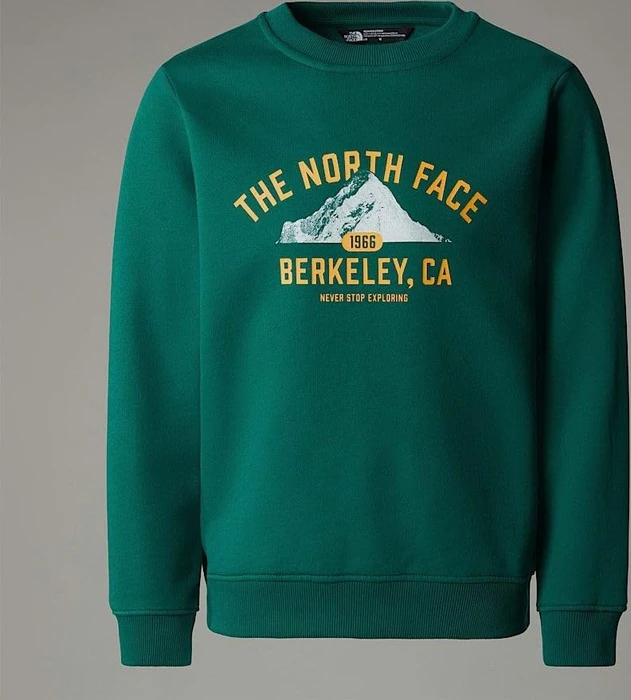 The North Face Varsity Relaxt Grafik Sweatshirt evergreen (Junior)