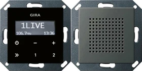 Gira System 55 Unterputz-Radio RDS inkl. Lautsprecher, edelstahl
