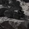 adidas Terrex Hydroterra core black/grey four Vorschaubild