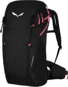 Salewa Alp Trainer 20 black out