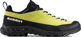 Mammut Alnasca IV Low LTH acacia/strata (Herren)