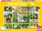 Schmidt Spiele Tierkinder auf dem Bauernhof Vorschaubild