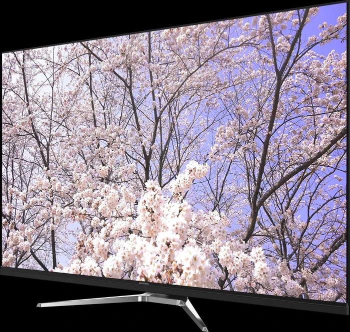 Grundig 65 GUB 9980