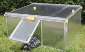 Juwel Schildkrötenhaus Paula, transparent