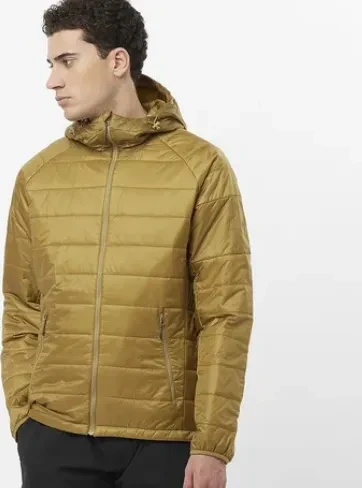 Salomon Outline Hooded Funktionsjacke antique bronze (Herren)
