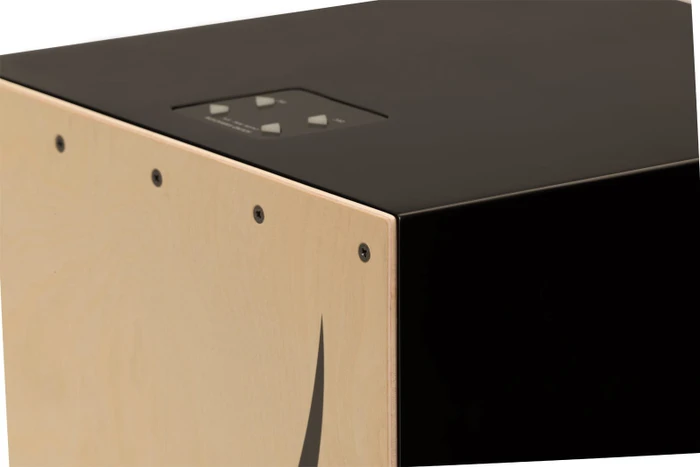 Roland ELCajon (EC-10) – Bild 5 von 6