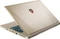 MSI GS60 2QE-053UK Ghost Pro 3K Gold Edition, gold, Core i7-4710HQ, 16GB RAM, 512GB SSD, 1TB HDD, GeForce GTX 970M, UK Vorschaubild