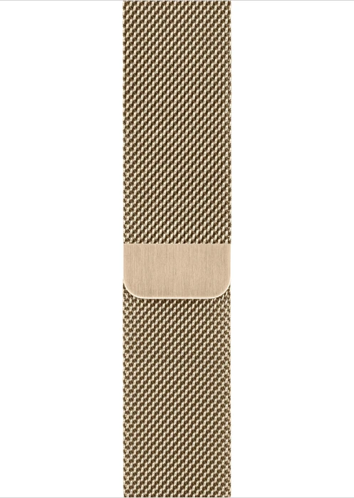 Apple Watch Series 6 (GPS + Cellular) 44mm Edelstahl gold mit Milanaise-Armband gold