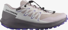 Salomon Temper GTX cloud gray/lilac ash/liberty (Damen)