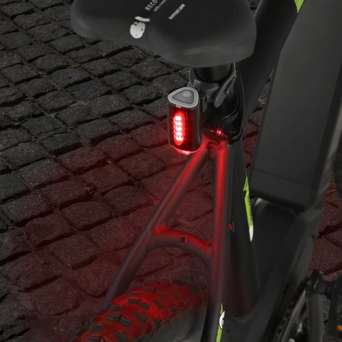 Fischer Twin Rücklicht