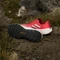 adidas Terrex Agravic Speed pure ruby/grey one/lucid red (Herren) Vorschaubild
